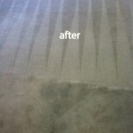 Richmond-Carpet-Cleaning-Carpet-Cleaning