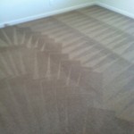Richmond-Carpet-Cleaning-Wall-To-Wall